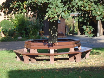 baumbank01