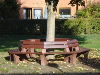 baumbank02