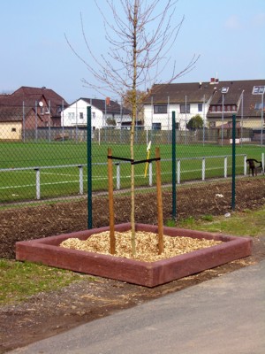 schwellen01